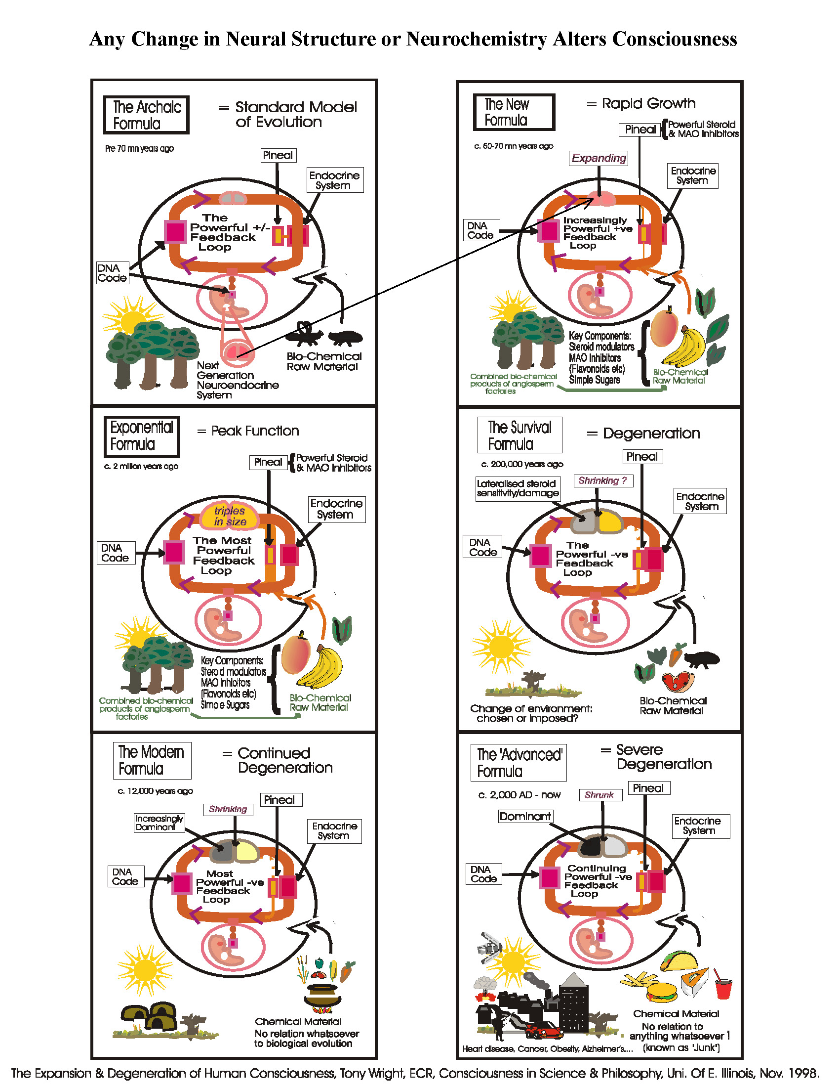 Pictorial overview